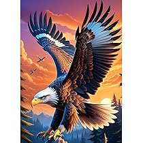 Kit De Peinture Diamant Broderie 5D DIY Seul Aigle Diamond Painting Strass Point De Croix Diamant Art Craft Pour Salon Chambre Home Décoration Mural (Round Drill,30x40cm/12x16inch