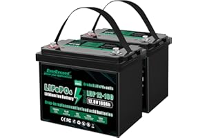 EverExceed 12V 100 Ah Bateria Lifepo4 con BMS Integrado de 100A, Bateria Litio 1280 Wh con Protección Contra Bajas Temperaturas, Ideal para Yates, Embarcaciones, Barcos, 2 Pack
