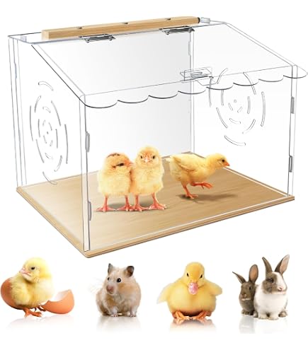 Brooder Miniature Chicken Brooder Kit