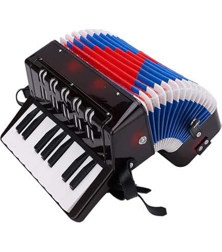 Fisarmonica Per Principianti - 22 Tasti 8 Bassi Con Zaino - Foto 5