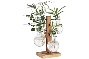 PAG-Mass Plant Terrariums Kit Desktop Hydroponics Air Planter Holder with 4 Light Bulbs Glass Vase,Propagation Stations Terrarium For Water Plants Home Garden Office Decoration Accessories