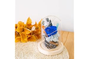 AOKKR Rosa Eterna Natural Preservada, Flores Preservadas con Luz LED, Rosas Azules Hecho a Mano, Caja de Regalo, Románticos Regalos Originales para Mujer para San Valentin Aniversario Cumpleaños