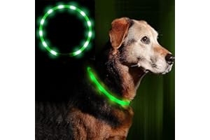 AMOMYDOG Collare Luminoso per Cani, Collare Cane LED USB Ricaricabile con 3 Modalità Illuminazione, Collare Di Sicurezza Tagliabile per Cani Gatti di Taglia Piccola Media Grande (Verde)
