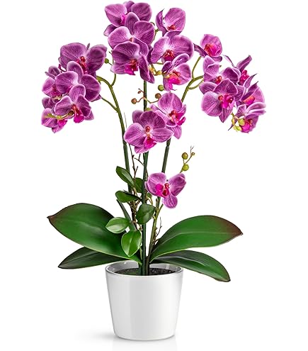 Orchidea Artificiale In Vaso Di Ceramica Nera - Altezza 53 Cm - Foto 5