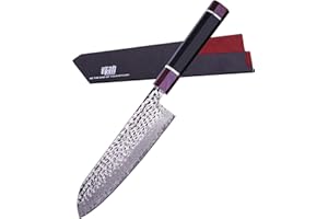 FINDKING Serie Eternity, coltello Santoku giapponese con fodero, coltello da cucina professionale, lama in acciaio damasco, per carne, frutta, verdura, 7 pollici/18CM