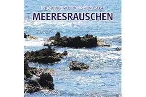 Electric Air Project: Meeresrauschen/CD