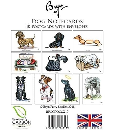 Abacus Cards 6 Blanko-Notizkarten – Motiv Hund Mit Blumen, 10x10 Cm, Mit Umschlägen, Recyclebar