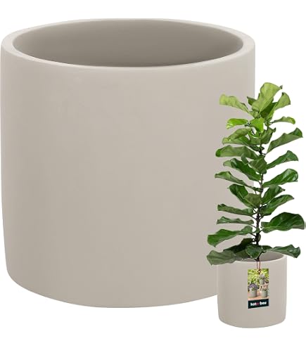Ecopots Ashortwalk Amsterdam - Vaso per piante e fiori, per interni ed