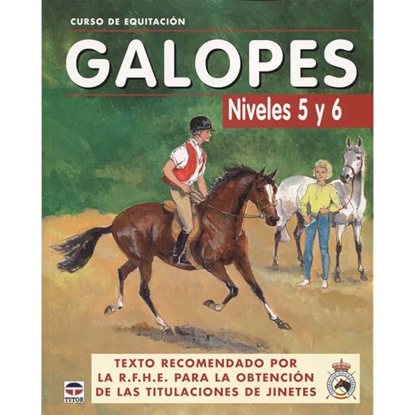 PRO Digest - Integratore Digestivo Per Cavalli, 650g Mini, Con Prebiotici E Probiotici - Foto 10