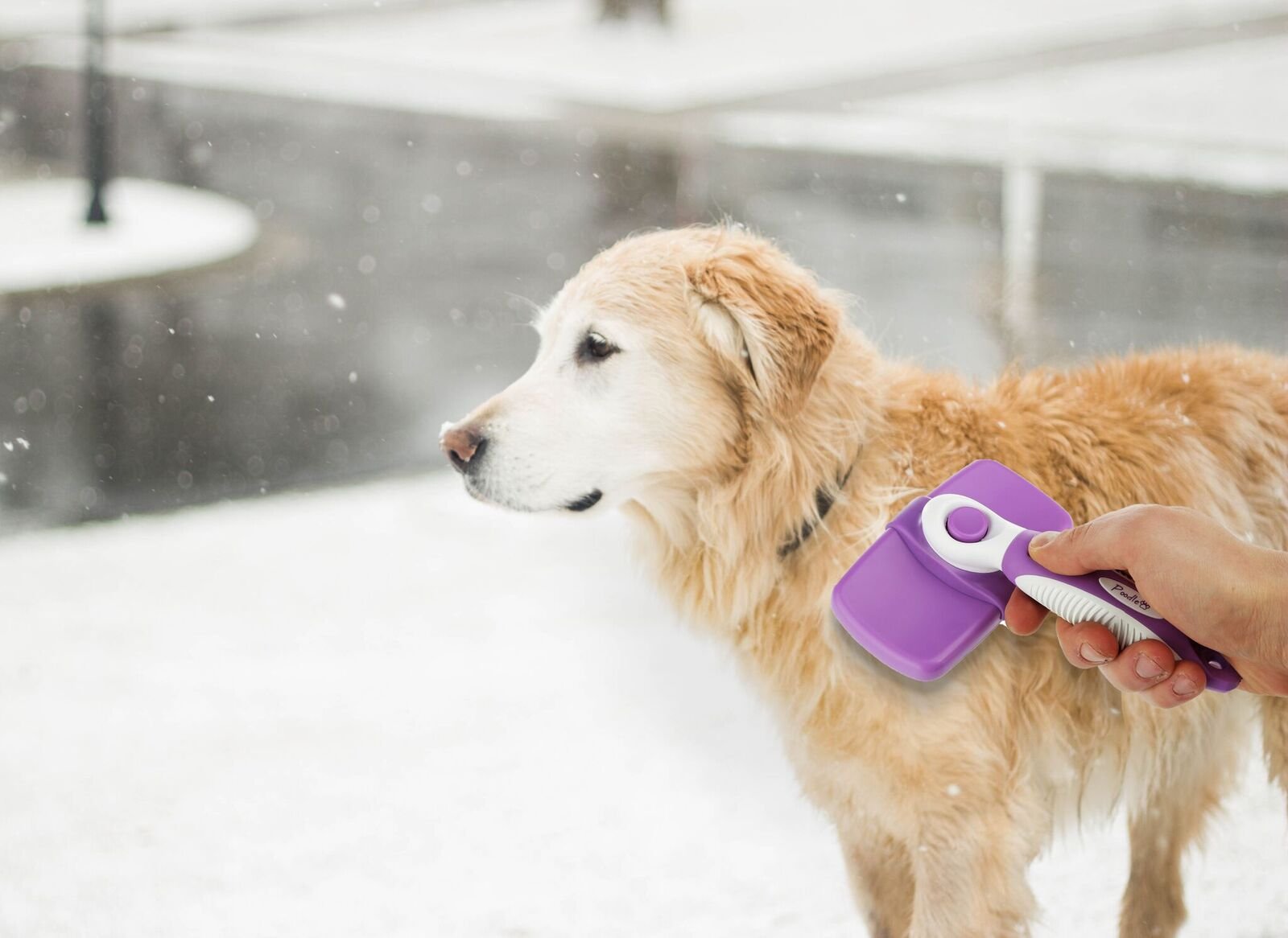 Poodle Pet Self Cleaning Slicker Dog Brush and Cat brushEasy to clean