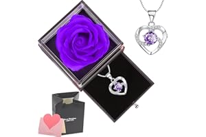 NEWUPZSI Real Rosa Eterna, Caja de Regalo de Collar, Flores Preservadas Eterna Hecha a Mano Rosa con Collar