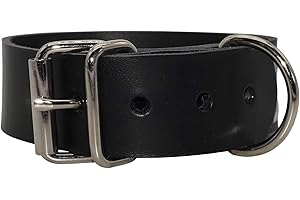 LEDERRIEMEN.COM Blankleder Befestigungsriemen mit D-Ring und Rollschnalle, Fixierriemen, Farbe:schwarz, Größe:2cm breit x 60cm lang