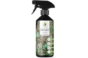 EcoWidow Natural Mould & Mildew Fungicide Remover Spray for Plants Fungus Cleaner - Indoor Or Outdoor Plant Protection 500ml