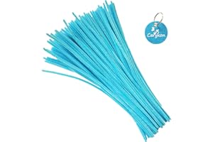 Carykon 100 Pieces Fuzzy Chenille Stems Pipe Cleaners for Arts and Crafts (Light Blue)