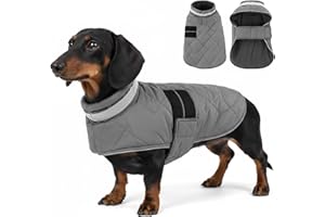 ASENKU Abrigo Perro Mediano de Invierno M, Chaqueta Perro Impermeable con Tiras Reflectantes Seguras, Ropa para Perros a Prueba de Viento con Forro Polar y Orificio para Arnés Ajustable
