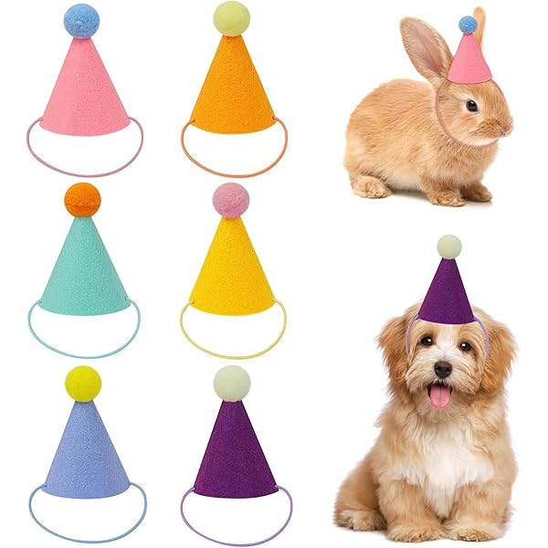 RUISPEED 12 stuks mini feesthoedjes voor knuffeldieren – verjaardagshoedjes voor poppen, honden, katten, konijnen en puppies, kleurrijke dierendecoratie voor kinderfeest RUISPEED 12 stuks mini feesthoedjes voor knuffeldieren – verjaardagshoedjes voor poppen, honden, katten, konijnen en puppies, kleurrijke dierendecoratie voor kinderfeest