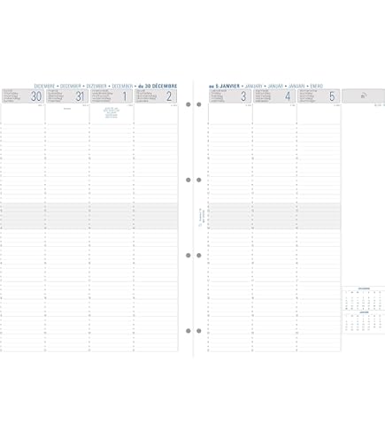 Quo Vadis - Recharge Organiseur - 2025-2026 - Timer 17 Horizontal - Semainier Horizontal - Français - 16 Mois De Septembre à Décembre - 10x17 Cm Sur [[website-short-url