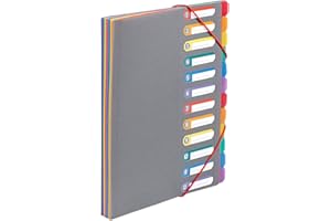 Viquel - Trieur Document A4 avec 12 Compartiments Rainbow Touch