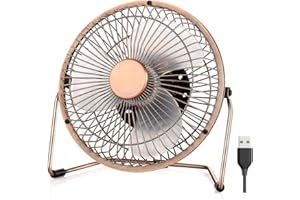 EasyAcc USB Desk Fan 5 Inch Desktop Silent Fan Air Circulator 2 Speeds 360° Rotation Brushless Motor Noiseless for Home and Office Laptop Notebook PC Desk Table Fan - Metal Brone