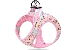 R-Blume Pink