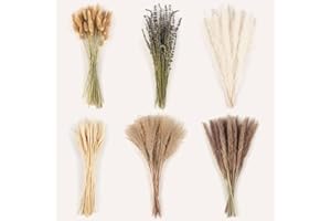 SONGJUM 200 Pezzi Naturale Pampas Erba Decor Bouquet Reed Erba Bouquet Asciugato Pampas Erba Bouquet per Matrimonio Boho Fiori Casa Party Tavolo Giardino Decor