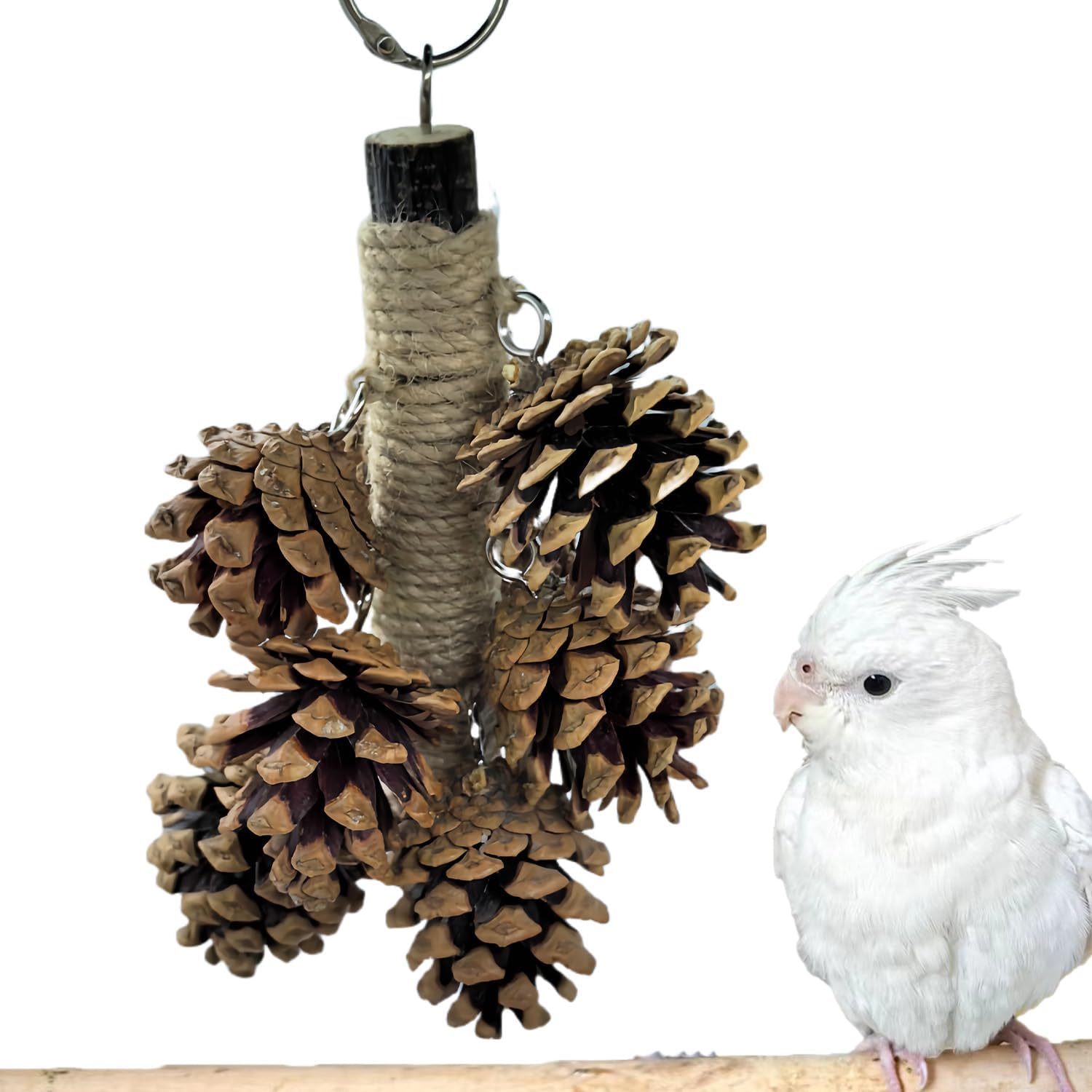 WACURRENTHYD Bird Toys with 8 Pine Cones - Natural Wooden Parrot Toys, 8 Inch Hangable Chewing Sticks Toys for Conures Parakeets Cockatoo African Grey Amazon Parrots