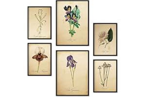 Zestaw Nacnic 6 Vintage Plakaty kwiatowe. Kolekcja arkuszy z estetyką Kolaż do dekoracji wnętrz. Rozmiary A3 i A4. Bez ramki.