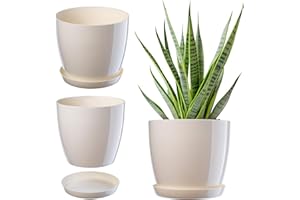 ‎KADAX KADAX Blumentopf, Pflanzkübel mit Untersetzer, runder Blumenkübel für Innen, eleganter Pflanztopf aus Kunststoff, Übertopf für Blumen, Pflanzen, Haus, leichtes Pflanzgefäß (Ø 12 cm, Creme)