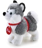 Bulldog Francese Blu: Guida Completa per Amanti dei Cani - Puppy Pro