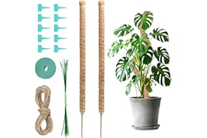 GrünWerk 2 Piezas tutores para Plantas, 60CM de Moss Stick Plegable Palo de Tótem de Coco, Flexible Tutor Plantas de Fibra de Coco Interior y Exterior Monstera