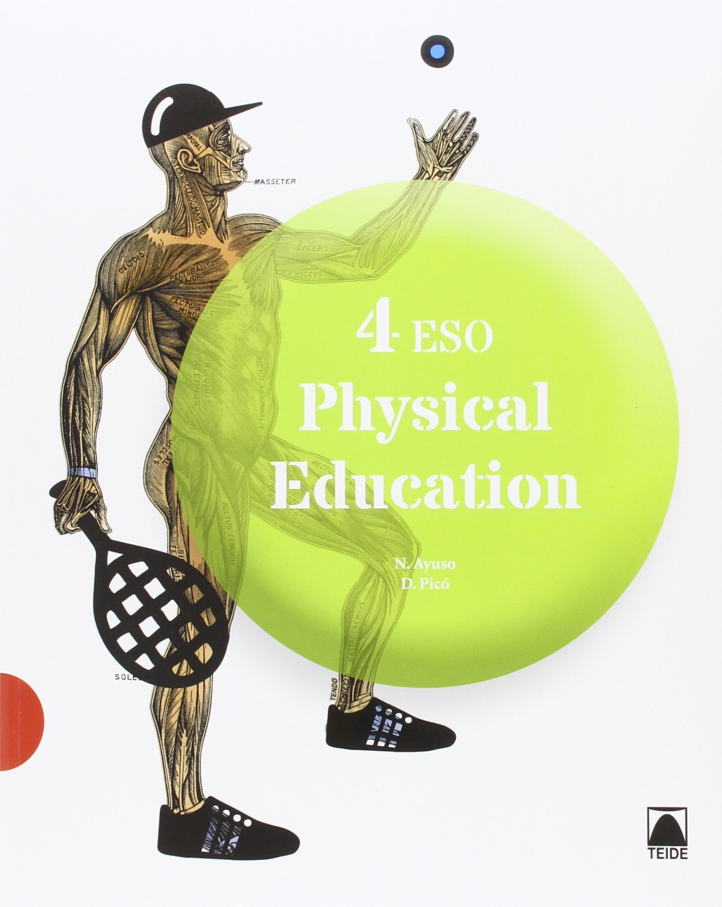 Physical Education 4 ESO