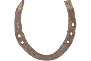 Wonder Care Horseshoe, Authentic Used Horseshoe, Good Luck Charm, Rustic, Auspicious Lucky Gift Cast Iron Real Horseshoe for Wall Decorations, Prosperity and Fortune
