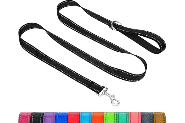 Taglory Laisse de Dressage réfléchissante pour Chien, poignée rembourrée en néoprène et Crochet en métal, 1.8m x 2.0cm Laisse en Nylon pour Petits Chiens, Noir