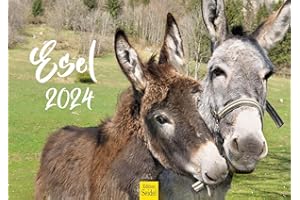 ‎EDITION SEIDEL Edition Seidel Premium Kalender Esel 2024 Format DIN A3 Wandkalender Eselkalender Weltweit Hausesel Stute Hengst Fohlen Säugetier Bauernhof