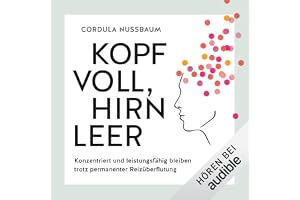 Kopf voll, Hirn leer: Konzentriert und leistungsfähig bleiben trotz permanenter Reizüberflutung