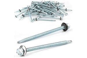 NUTS OT NUTS 25 vis autotaraudeuses de 6,3 x 100 mm avec joint, vis de toit avec rondelle d'étanchéité (argent)