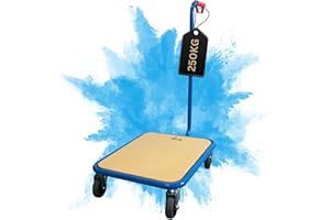 PROREGAL Chariot de manutention Professionnel | HxLxP 96x50x60 cm | Charge maximale 250 kg | Pneus en Caoutchouc Plein, 2 roulettes pivotantes avec Freins et 2 roulettes Fixes | Bleu Clair