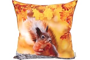 CB Home & Style Outdoor Garten Kissen Herbstkissen Herbstdeko Outdoorkissen Wasserabweisend 45x45cm mit Füllung (Herbst 17 - Eichhörnchen)