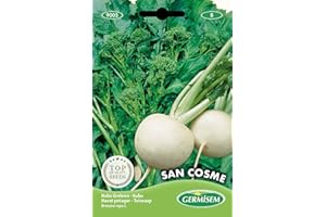 Germisem graines Navet potager San Cosme EC9005