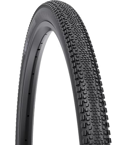 WTB Raddler 700 x 40c Light/Fast Rolling TCS Tire, Black (W010