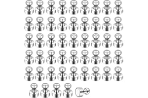 TAFONUP Imanes Neodimio 50 Piezas, Imanes Potentes, 12X16mm Pequeños Imanes Neodimio con Caja de Almacenamiento, Mini Imán para pizarras Blancas, tablones de anuncios y neveras