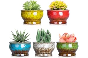 ARTKETTY Doniczki na sukulenty – ceramiczne doniczki na rośliny kaktusowe z drenażem, opakowanie 5 sztuk, małe doniczki na rośliny wewnętrzne/zewnętrzne, kwiaty, bonsai, pojemnik na rośliny, miska