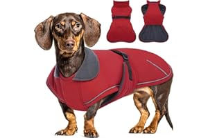 Hjyokuso Hundemantel Dackel, Winddichter Wasserdichter Wintermantel Für Mittelgroße Hunde, Hundejacke Mit Bauchschutz Und Leinenloch, Winterjacken Für Hunde - Rot