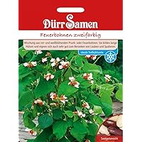 Dürr Samen 0355 Feuerbohne zweifarbig (Feuerbohnensamen)