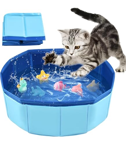 Piscine Pliable Pour Chat Avec 6 Jouets Flottants, 50 Cm, Mini Piscine D'Été Pour Chat Et Petit Chien, Activité Aquatique Amusante