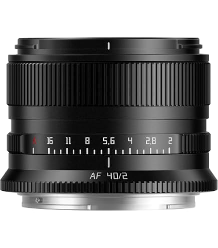 TTArtisan Obiettivo verticale manuale a grande apertura F2 da 50 mm per fotocamera Sony E Mount Mirrorless A5500 A6000 A6300 A6400 A7C A7MIII A7MIV A7RIII A9 NEX-3N NEX-5 NEX-5R
