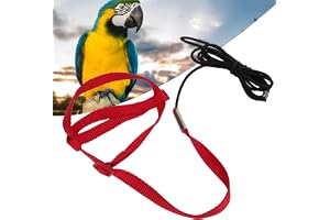 lvifloae elastisk papegoja sele koppel fågel koppel bita bevis flygare sele justerbar papegoja flygträning rep med metallkrok