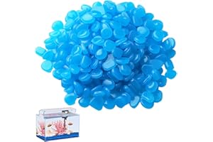 EDDRFY Piedras luminosas para exteriores, 300 unidades, piedras luminosas para jardín, de resina azul, que brillan en la oscuridad, piedras decorativas para acuario, caminos, piedras decorativas