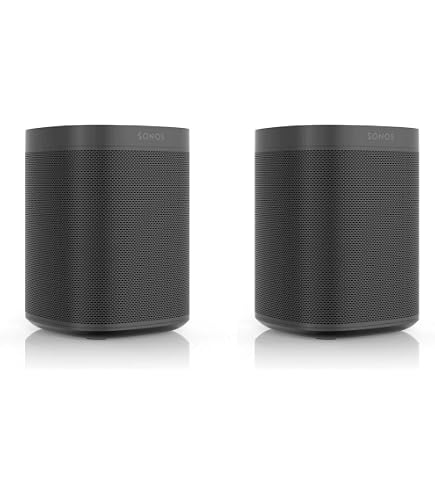 Sonos Two Room Set One SL - The Powerful Microphone-Free Speaker
