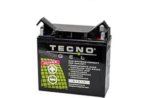 ‎WIRTH-FEDERN TECNO-GEL QUALITÄTS Motorrad-Batterie 51913 (51814) für B-M-W R 1100 GS, R, RS, RT, S m/o ABS 1994-2005, 12V Gel-Batterie 22AH, 186x82x171 mm inkl. Pfand